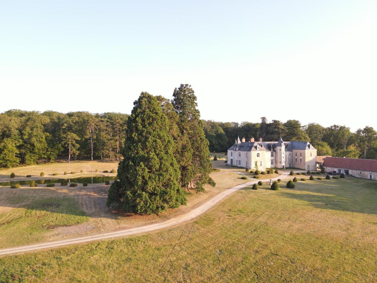 Chateau De Valesne Saché Kültér fotó